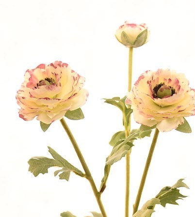 Ranunculus spray
